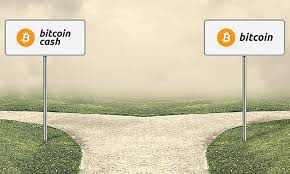BTC vs BCH a fork in the road