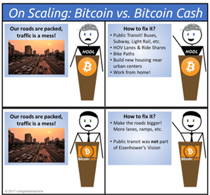 BTC vs BCH analogy